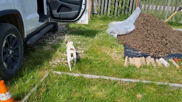 Дача(3) смотреть онлайн