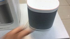 Mi Smart Speaker