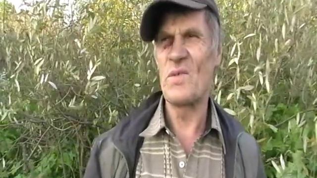 Что бывает, если воровать чужие яблоки! смотреть онлайн