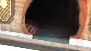 Будка для собаки. Как живёт собачий депутат. Самая роскошная собачья будка