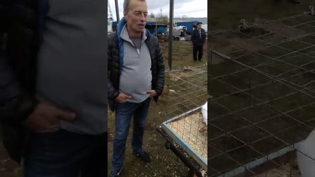Птичий рынок Бронницы ч 1 душевная