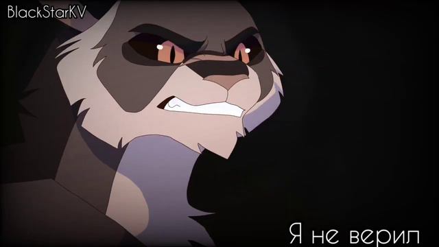 Коты воители. Клип 700под.-Сдавайся смотреть онлайн