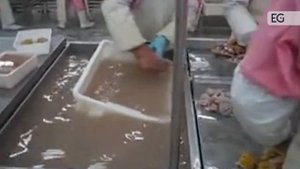 Станок для очистки кутикулы утиных желудков HX-200