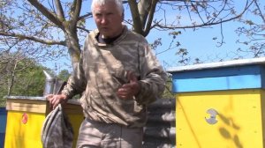 Как Устроен Эффективный для Здоровых Пчел Улей Василия Приятеленко? Какие Оригинальные Пчелорамки?