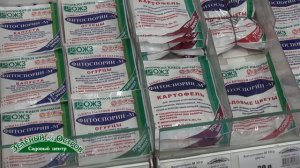 Вопрос, не растут трехлетние кусты смородины и жимолости