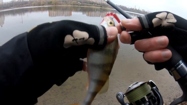 Борисовские пруды, печальный сход! смотреть онлайн