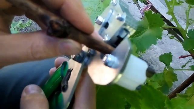 Прививка винограда прививочным секатором смотреть онлайн