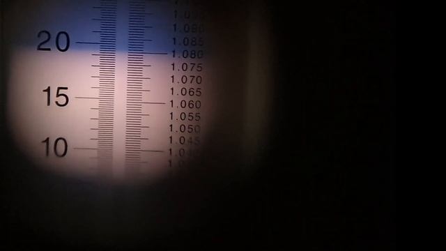 Черешня Стаккато на 13 июля 2020 года