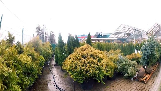 ДЕНЬ В ДЕРЕВНЕ #1: Корова, пасека, огород. смотреть онлайн