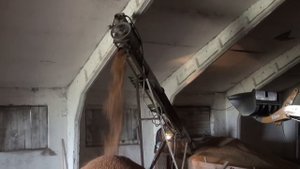 Самодельный шнек. Травим зерно. Производство шнековых транспортеров