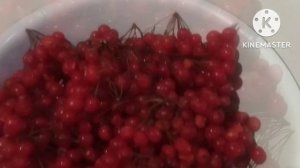 Калина. Полезные свойства. Заготовка на зиму.