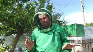 Карника или Украинская Степная. Карника с медом даже в холодную и дождливую весн