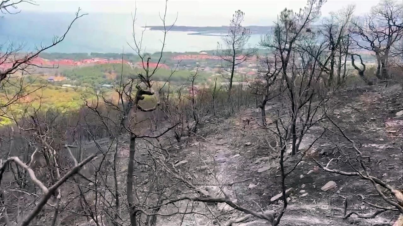 Сотни человек тушат пожар в районе Геленджика, где огонь охватил более 100 гектаров леса