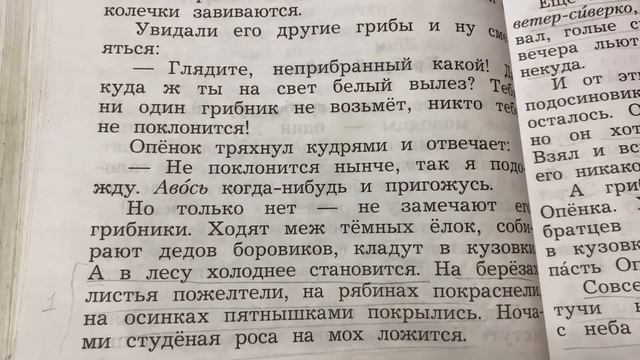 Чтение/2 класс/ Э.Шим. Храбрый опенок/16.10.20 смотреть онлайн