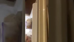 Обзор Холодильник Samsung RT46K6360EF/WT0 из Сулапак