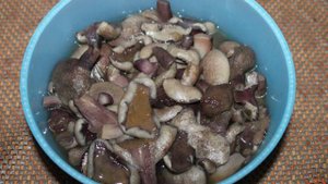 Жареные грибы с луком в белом соусе