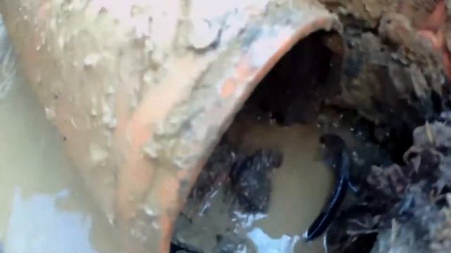 Ремонт и замена труб. смотреть онлайн