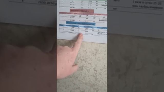 Инкубация утиных яиц смотреть онлайн