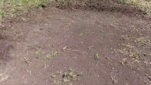 Подложка под бассейн из подручных материалов
