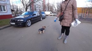 ЙОРК ИДЕТ НА ПРИВИВКУ.Я ПРИВИВОК НЕ БОЮСЬ: ЕСЛИ НАДО - УКОЛЮСЬ!