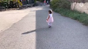 Зоопарк в Америке/ Зоопарк в США