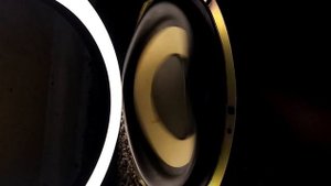 Woofer Cooker SONY SS-WG990