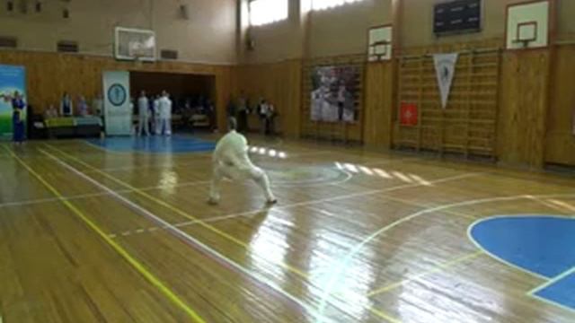 Suhovey  42 forms taijiquan - Part 2 смотреть онлайн