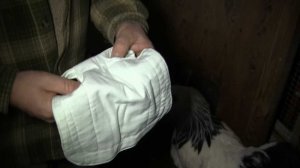 Попона для кур.