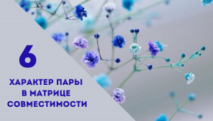 Совместимость.6 энергия в характере пары.Матрица судьбы.