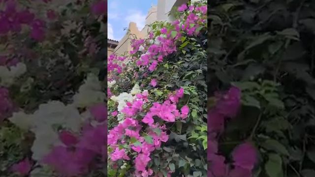 Доброго уютного вечера 🌸🌿❤️