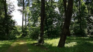 Спасское Лутовиново. Столетие усадьбы. Как это было?