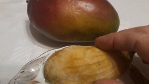 #косточка #манго / Особенности косточки фрукта манго (лат. mangifera indica).