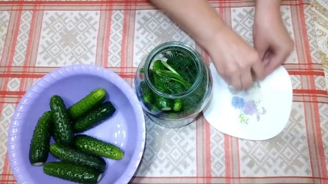 Малосольные огурчики. Ароматные и хрустящие