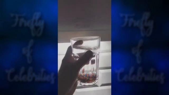 Женя Светски 12-19.02.2018 Комков забрал камеру; ищет квартиру [ INSTA STORIES ] смотреть онлайн