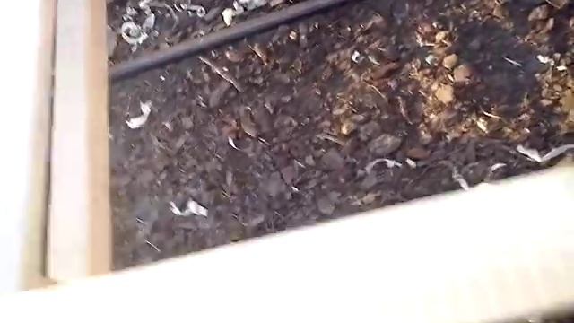 Собрал каркас лодки за два дня смотреть онлайн