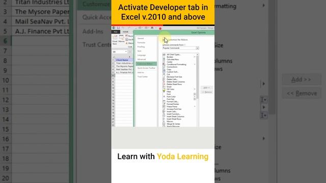 Activate Developer Tab in Excel v 2010 and above