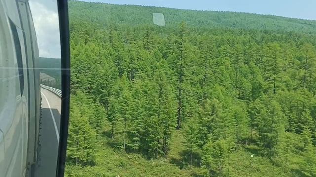 Тайга идем на Якутию