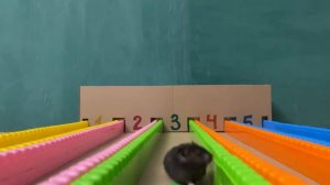 Бег хомяков. #бег_хомяков #hamsters #running_hamsters