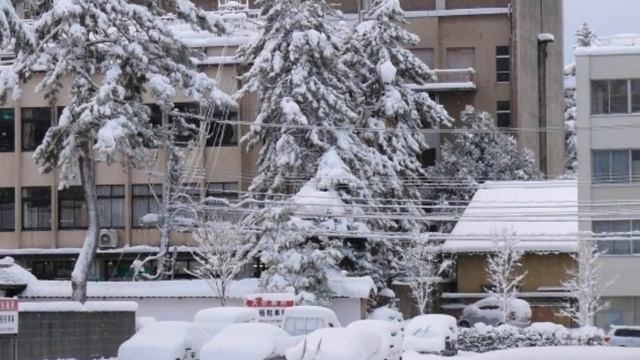 Первый снег. смотреть онлайн