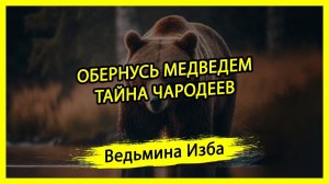 ОБЕРНУСЬ МЕДВЕДЕМ. ТАЙНА ЧАРОДЕЕВ. ДЛЯ ВСЕХ. #ВЕДЬМИНАИЗБА ▶️ #МАГИЯ