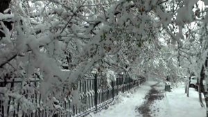 Красноярск утонул в сугробах