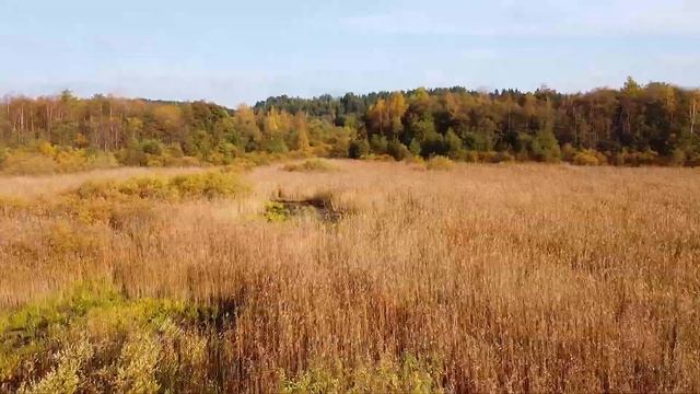 Едем в Карелию #4. Новая Голландия, Канонерский остров, Ладожское озеро, Сортавала и парк Рускеала смотреть онлайн