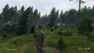 GTX 1660 Super + Ryzen 7 2700 | DAYZ
