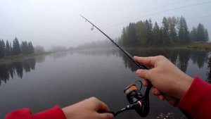 Джиг-риг оснастка для ловли окуня