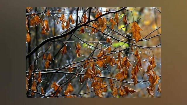 Осень всё узнала... Очень красивая песня! смотреть онлайн