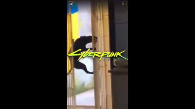 ПРИКОЛЫ ПРО ЖИВОТНЫХ! (ЧАСТЬ №1) СМЕХ ДО СЛЁЗ!! смотреть онлайн