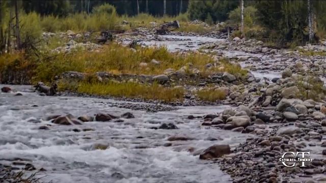 Asmr медитация, Варган. Слушаем звучание!