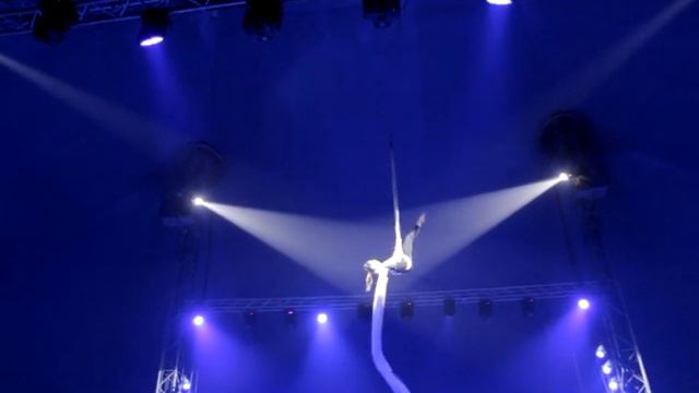 Tatyana Lavrichenko - First Violin  Aerial silk 