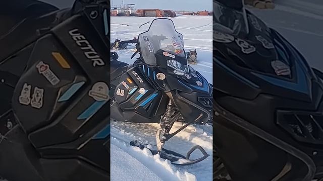 Снегоход Вектор 551 на Камчатке. *из дневника пилота смотреть онлайн