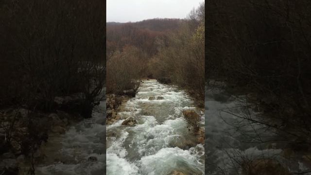 Полноводная река рядом с С.Соколиное, Крым/Full-flowing river near Sokolinoe, Crimea